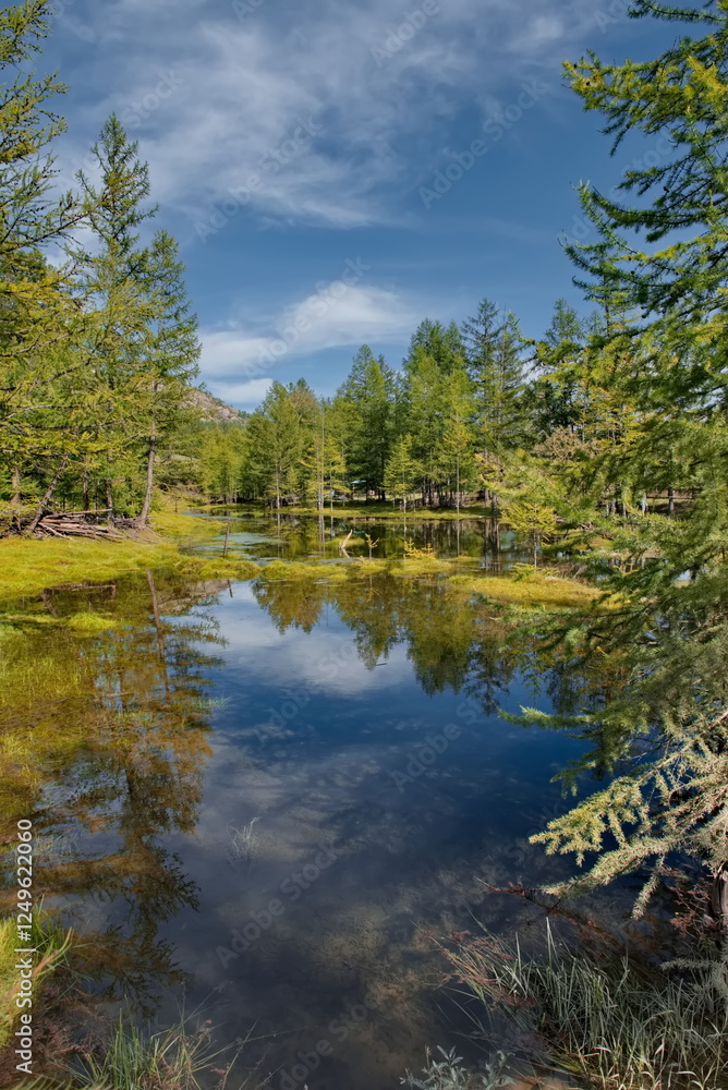 Russia. The Republic of Buryatia. Scenic view of an unnamed swampy river in the Western Sayan Mountains near the mouth of the Tissa River. Russia. The Republic of Buryatia. Scenic view of an unnamed swampy river in the Western Sayan Mountains near the mouth of the Tissa River.