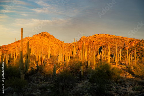 Sabino Canyon Recreation Area Tucson Arizona Sonoran Desert Mount Lemmon Golden Sunset photo