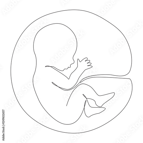Baby in the womb heart shaped with umbilical cord Line drawing Logo.