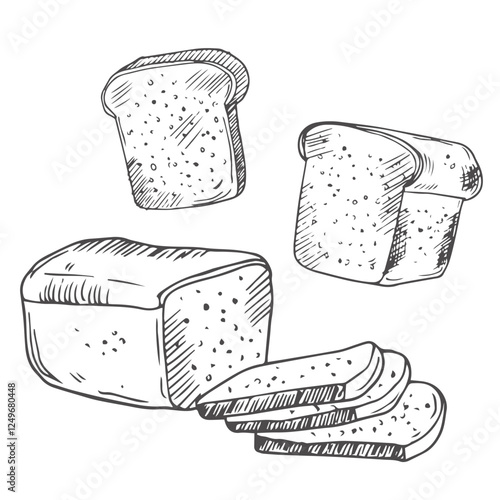 Bread toasts, toasts with butter and peanut paste, toaster sketch set. Bread toasts for sandwich piece of roasted crouton. Lunch, dinner, breakfast snack. Isolated white background.