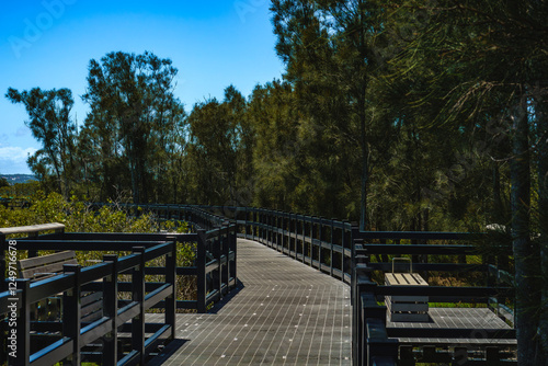 The lakeside boardwalk on Pirrita Island ，it's250-metre boardwalk crosses Pirrita Island's mangroves and looks out over the turquoise waters of Swansea Channel. photo