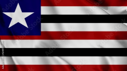 flag of malaysia