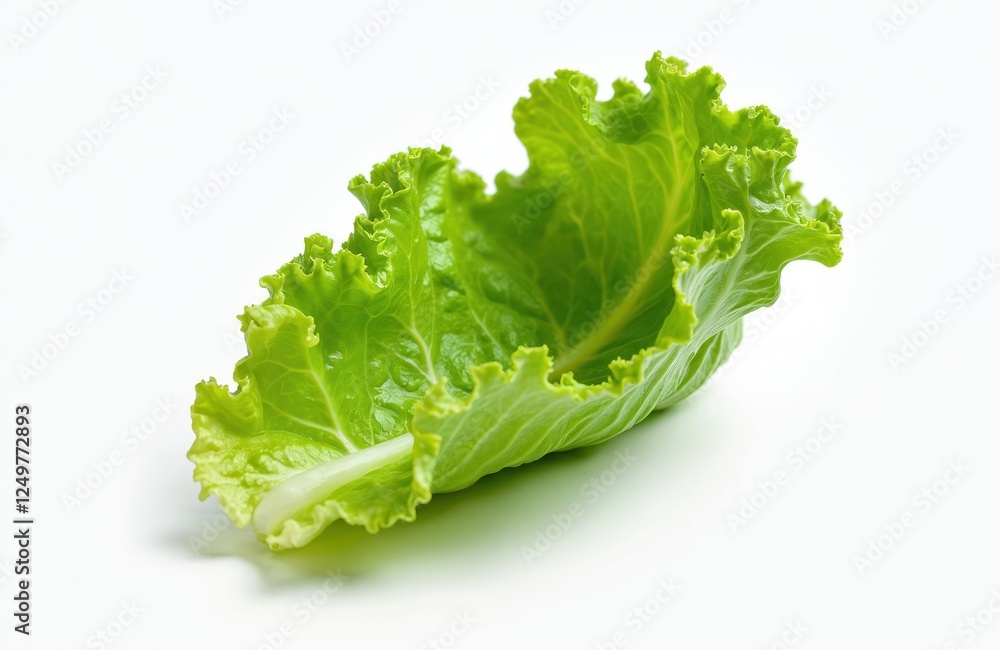 Fresh green lettuce leaf isolated on white background. Vibrant green colors. Close-up view. Healthy food ingredient. Salad leaf. Great for use in cooking, recipes. Perfect for dietary needs, meal Fresh green lettuce leaf isolated on white background. Vibrant green colors. Close-up view. Healthy food ingredient. Salad leaf. Great for use in cooking, recipes. Perfect for dietary needs, meal