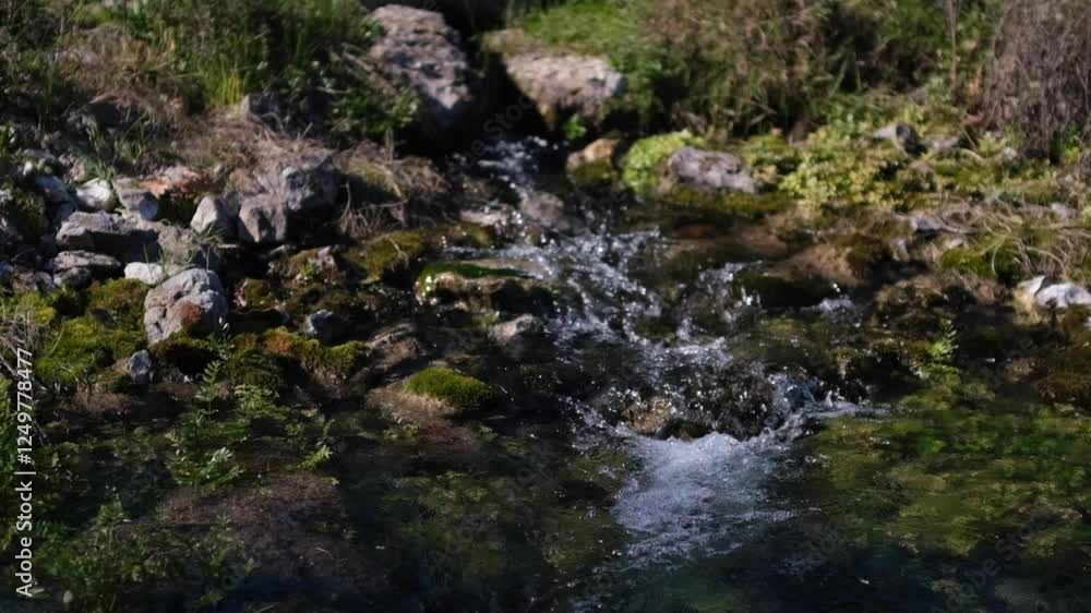 Slow motion video of water flowing in the forest Slow motion video of water flowing in the forest