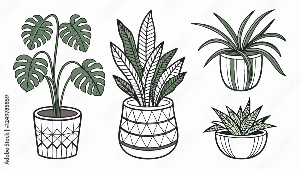 Set of isolated houseplants in pots - Detailed vector illustration on white background, including monstera, ficus, sansevieria, fern, pilea and succulent Set of isolated houseplants in pots - Detailed vector illustration on white background, including monstera, ficus, sansevieria, fern, pilea and succulent