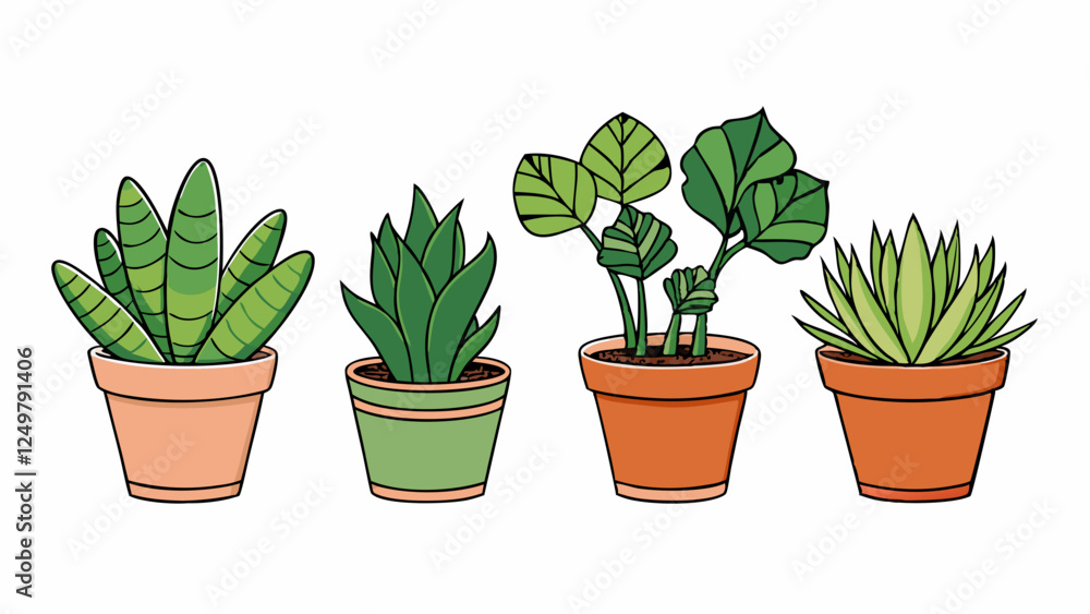 Set of isolated houseplants in pots – Detailed cartoon vector illustration on white background, including Monstera, Ficus, Sansevieria, Fern, Pilea and Succulent Set of isolated houseplants in pots – Detailed cartoon vector illustration on white background, including Monstera, Ficus, Sansevieria, Fern, Pilea and Succulent