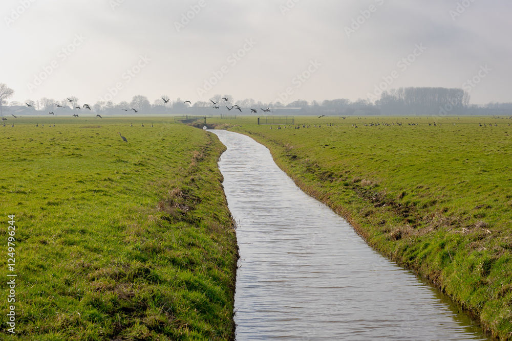 Fototapeta premium Winter countryside landscape, Flat and low land with mist or fog in morning, Typical Dutch polder with green grass meadow, Small canal or ditch on the field with village in Noord Holland, Netherlands.