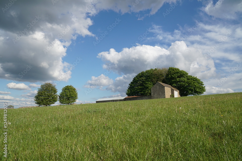 house in the field house in the field