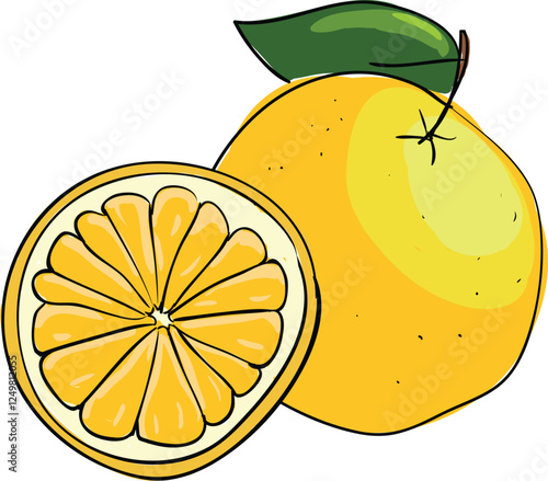 Juicy Lemon with Slice