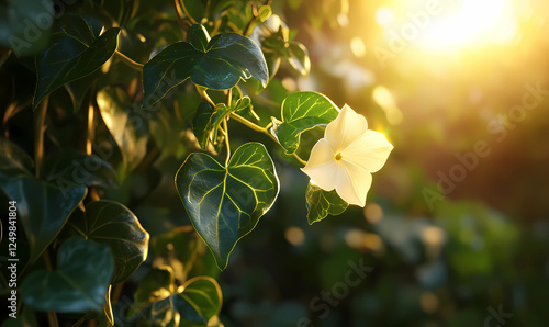 Lush Green Ivy Flower with Hyper-Realistic Golden Highlights, Capturing Nature’s Beauty in Detail