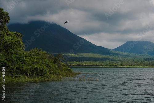 Bird flying in front of a volcano