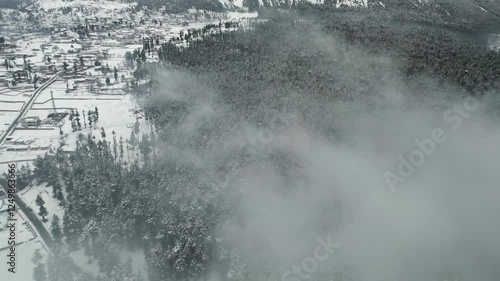 Aerial drone forward-moving shot, flying over a dense coniferous forest covered with white snow on a cold winter day in Pakistan, Kalam, Swat.
