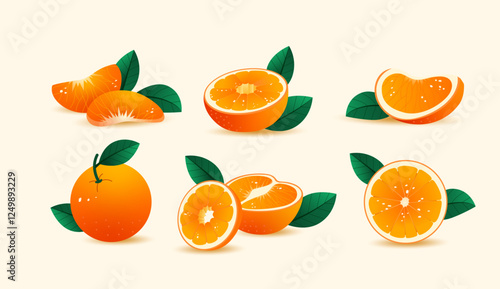 Orange fruit set. vector illustration