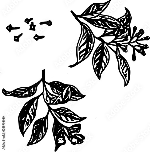 black and white clove