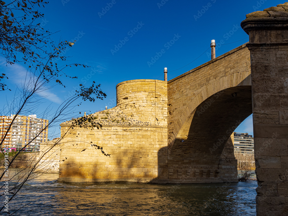 stone bridge over the Ebro river, in Zaragoza. Aragon. Spain stone bridge over the Ebro river, in Zaragoza. Aragon. Spain