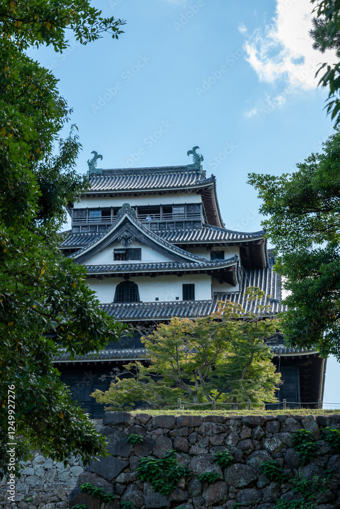 Fototapeta premium Matsue Castle, a famous landmark