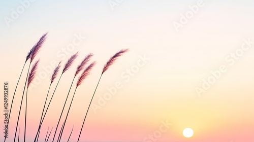 Serene sunset over a tranquil landscape with grass silhouettes against a pastel sky photo