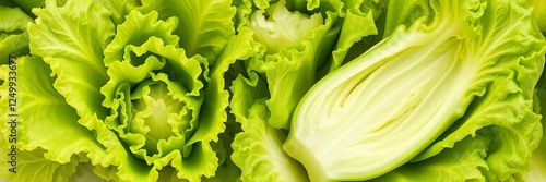 Fresh green butterhead lettuce with crisp leaves and delicate texture, green, vegetable, butterhead