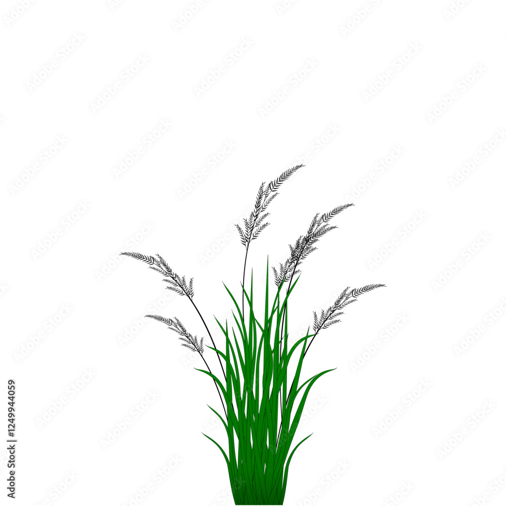 Obraz premium green grass vector