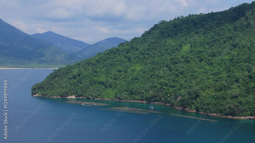 An algae seaweed farm in Paraty grows algae in a controlled way for food, industrial and environmental uses in a sustainable way. An algae seaweed farm in Paraty grows algae in a controlled way for food, industrial and environmental uses in a sustainable way.