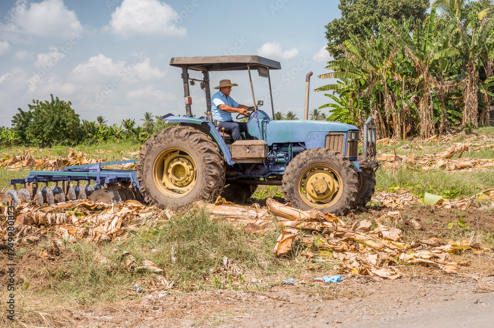 Farmer does agricultural work and uses his tractor to be more efficient. Farmer does agricultural work and uses his tractor to be more efficient.
