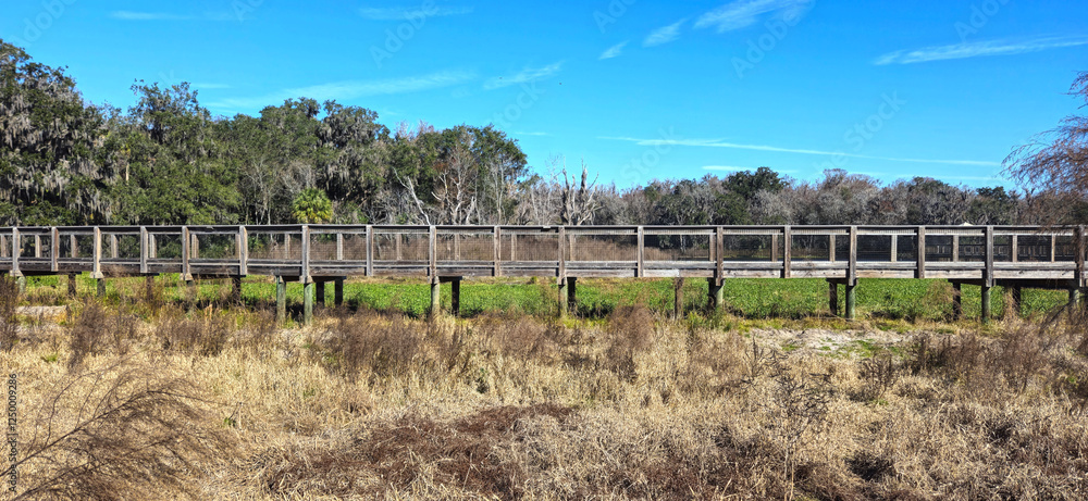 Obraz premium Walking bridge over a marsh
