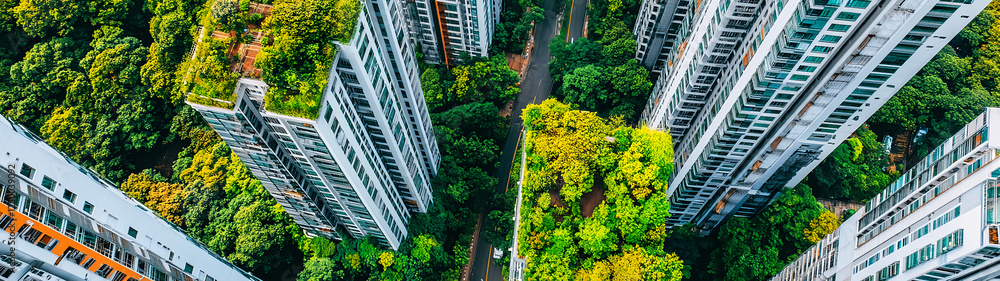 Fototapeta premium Green city, sustainable buildings with vertical gardens and rooftop plantings in an urban environment. Blueprints of an eco-friendly architecture concept with trees on the roofs of high-rise 