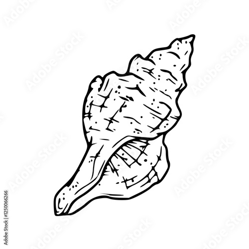 hand drawn seashell graphic
