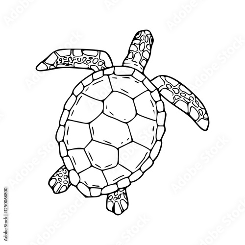vector illustration of turtle for coloring page