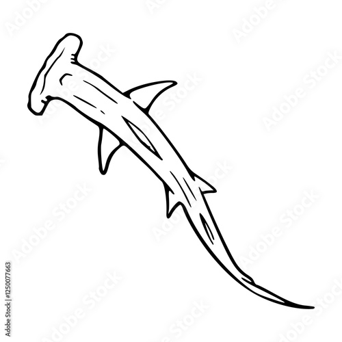 vector illustration of a shark