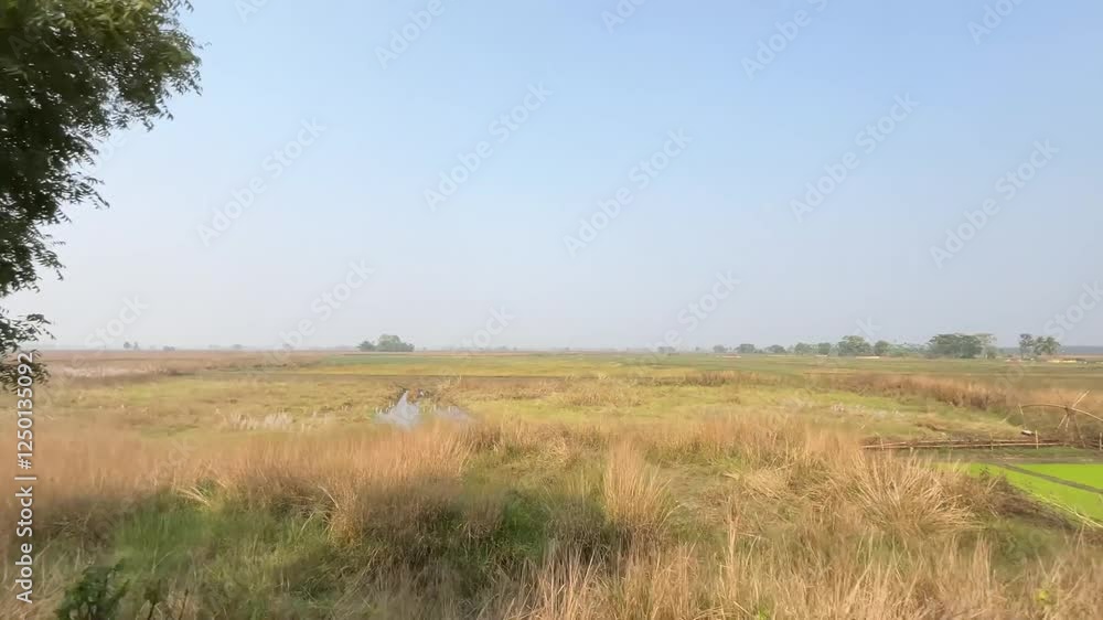 A view of the vast wasteland from inside the train. A view of the vast wasteland from inside the train.