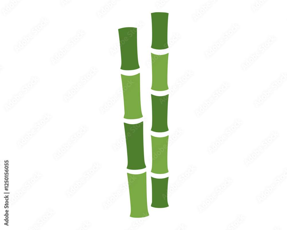 Fototapeta premium Two stalks of vibrant green bamboo.