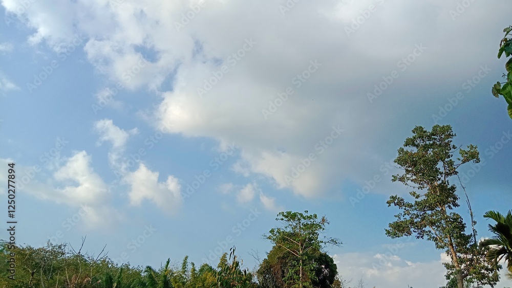 Obraz premium sky and clouds