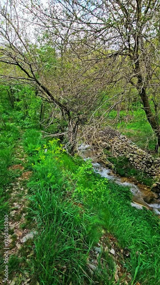 A lush valley brimming with water, weaving through orchards and rocks—an untouched rural sanctuary wrapped in greenery, peace, and refreshing natural charm.
📍Hawraman Takht, Kurdistan A lush valley brimming with water, weaving through orchards and rocks—an untouched rural sanctuary wrapped in greenery, peace, and refreshing natural charm.
📍Hawraman Takht, Kurdistan