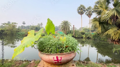 It is called Itu Puja. Farmers of West Bengal perform this puja for prosperity in agriculture.Basically this puja is done in the field. Besides women of the house also perform this puja in a small way photo