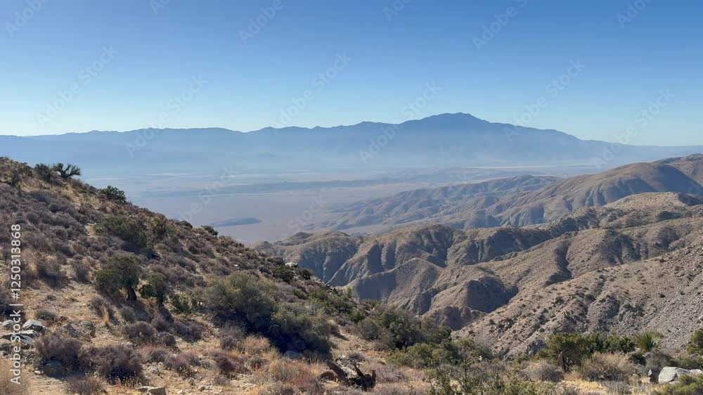 Joshua Tree National Park in southeastern California's Mojave Desert - tilt up reveal Joshua Tree National Park in southeastern California's Mojave Desert - tilt up reveal