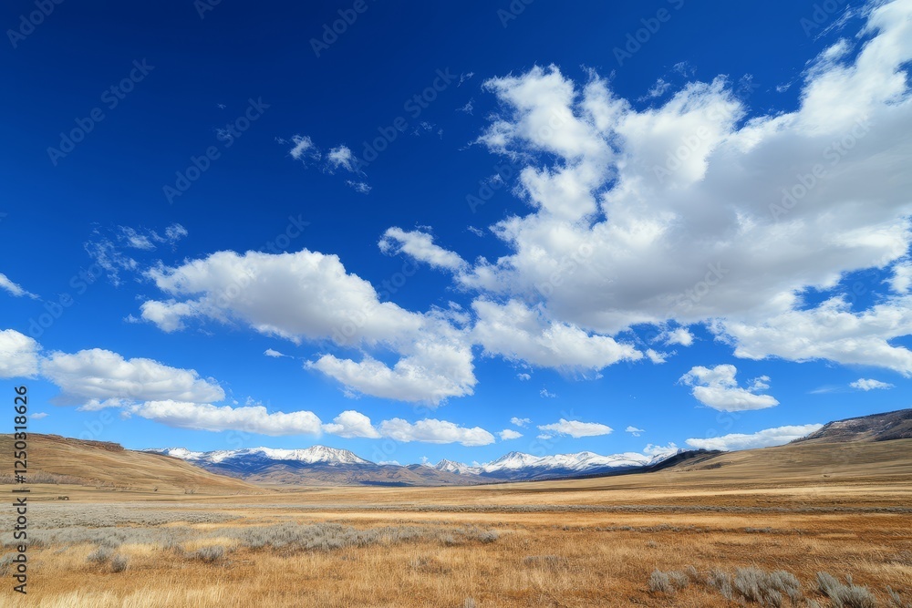 Open Field Under Blue Sky with Mountains Open Field Under Blue Sky with Mountains