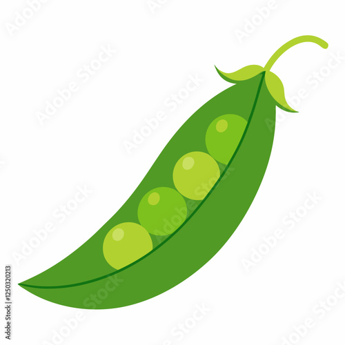 Pea isolated flat vector on white background.