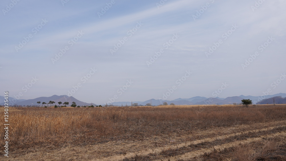 Obraz premium walking in the field