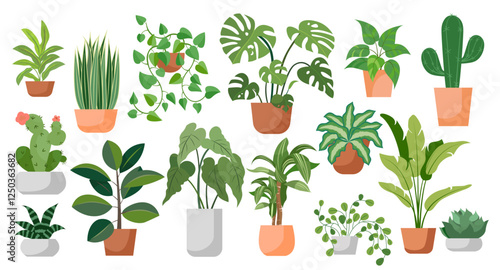 houseplants set house decor plants succulents indoor exotic flowers stems leaves monstera ficus pothos yucca dracaena cacti snake plant home interior illustration