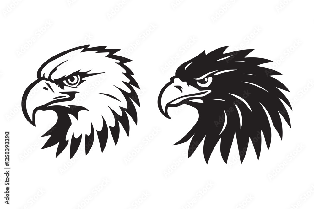 Fototapeta premium head of eagle