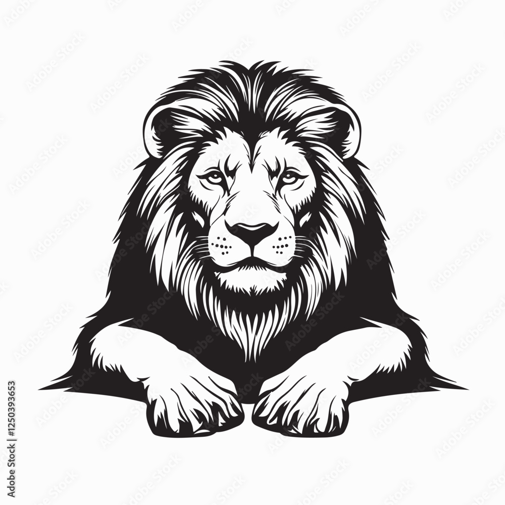 Fototapeta premium Lion Lying image. Lion Lying Down Stock Illustration on white background.