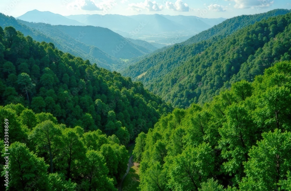 Obraz premium Aerial view of a lush green mountain valley with a meandering stream, perfect for nature, travel themes, and Earth Day promotions