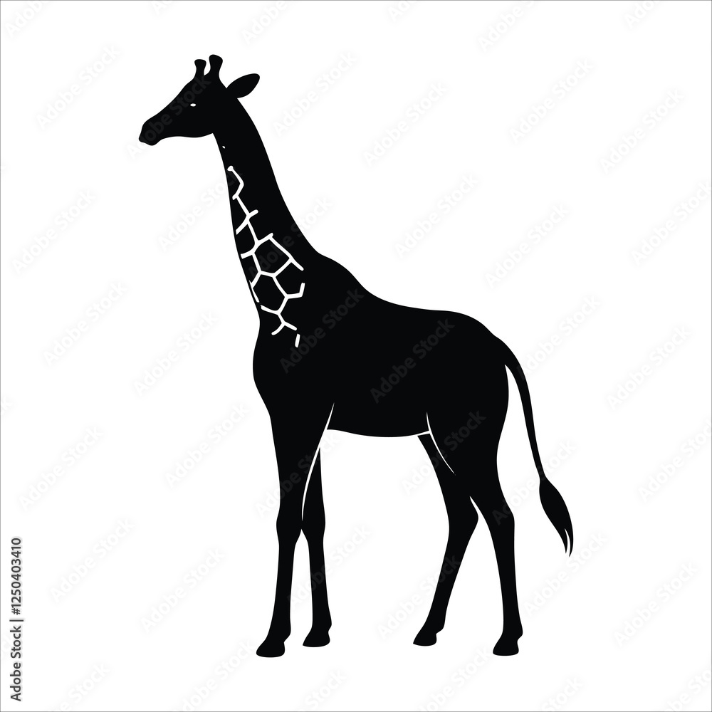 A giraffe silhouette illustration on white background. A giraffe silhouette illustration on white background.