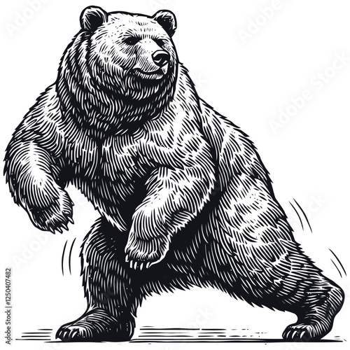 Illustration of a Grizzly Bear