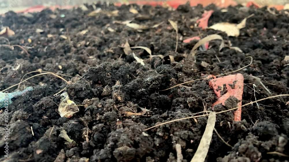spreading soil in sunlight for dryness in garden spreading soil in sunlight for dryness in garden