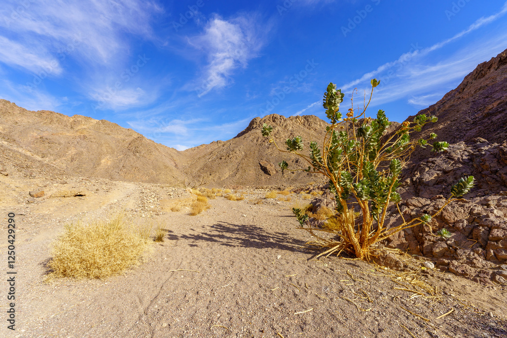 Shlomo Valley landscape in Eilat desert mountains