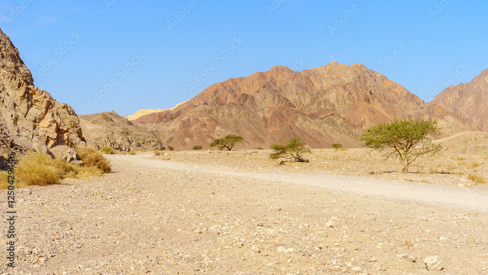 Shlomo Valley landscape in Eilat desert mountains