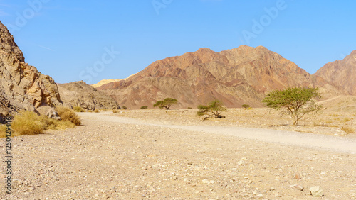 Obraz na płótnie Shlomo Valley landscape in Eilat desert mountains w salonie