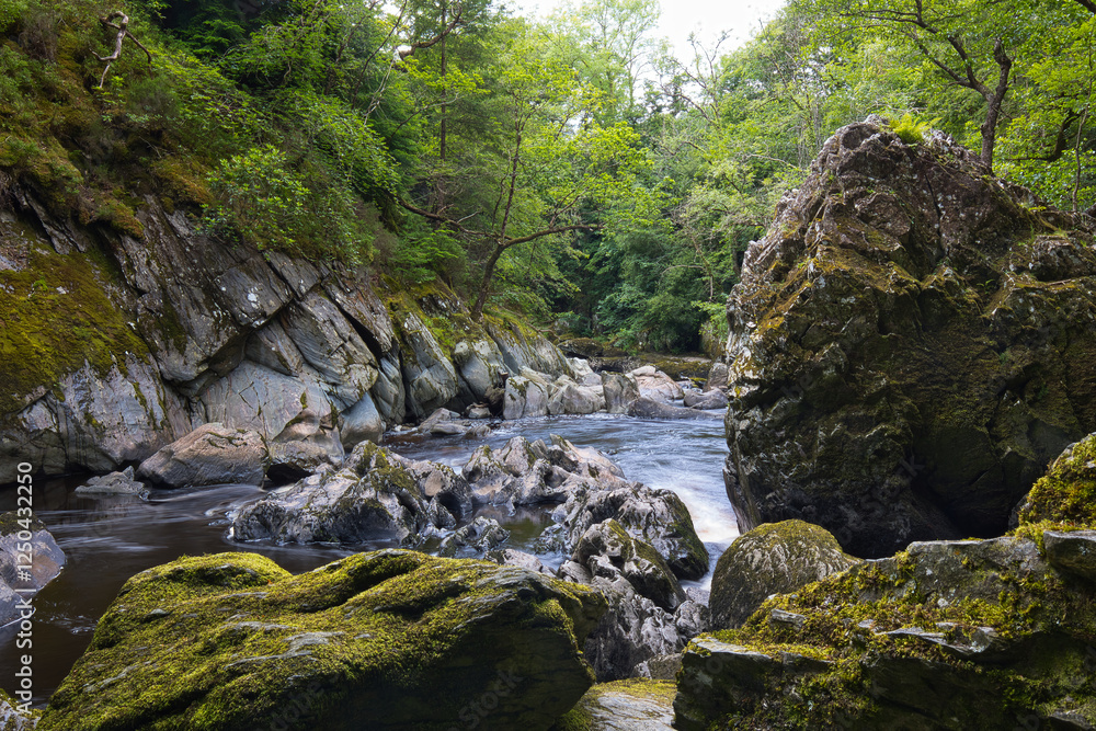 Fairytale forest with stream in a Welsh gorge. Fairytale forest with stream in a Welsh gorge.